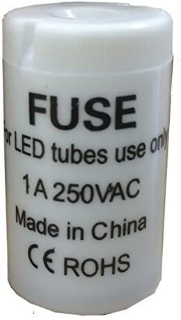 Starter/Fuse for LED T8 Tube (T8LED-FUSE)