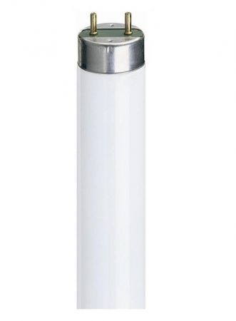2' 18w Triphosphor Tube Col 840 (GE Lighting)